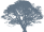 Collegium Telemedicus logo